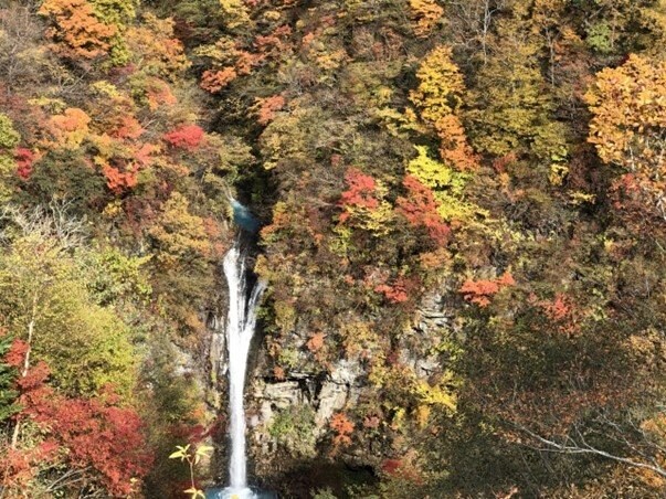 出典：blossomLilia/写真AC