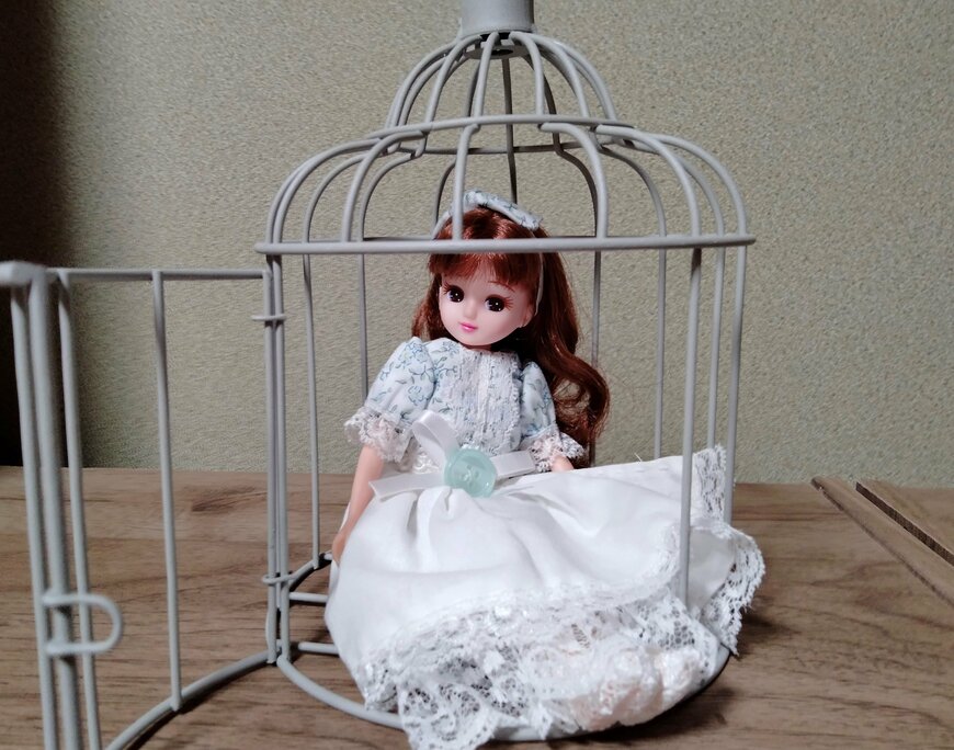 筆者撮影（ダイソー、アイアンインテリア（ケージ、直径13.5cm×19cm））