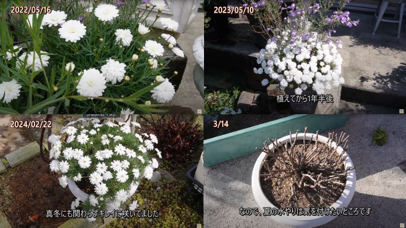 出所：@ohanachannel30