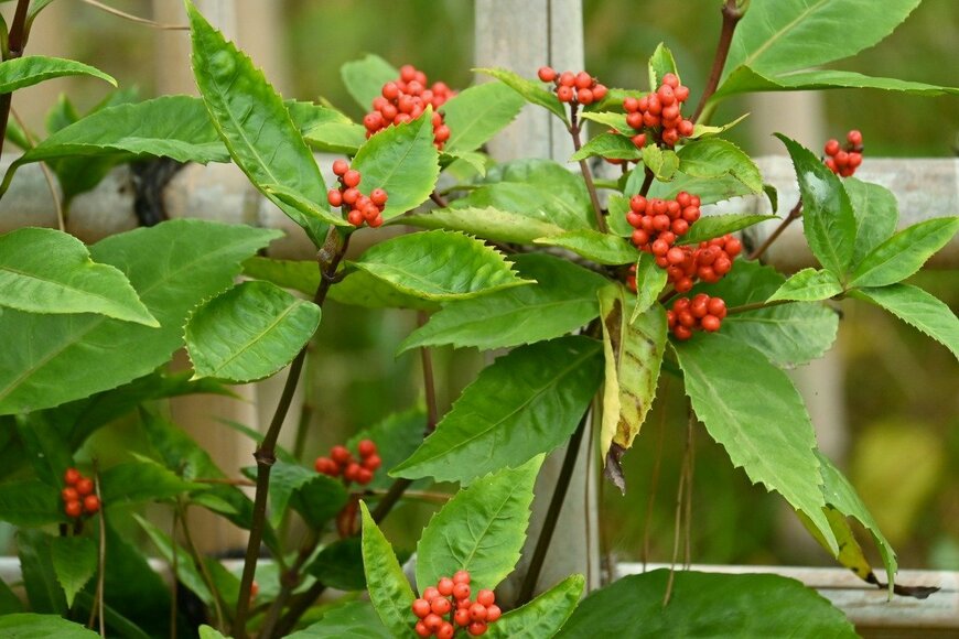 undefined undefined/istockphoto.com