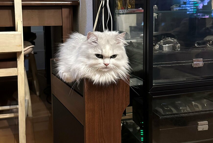 出所：@NEKOLAND13