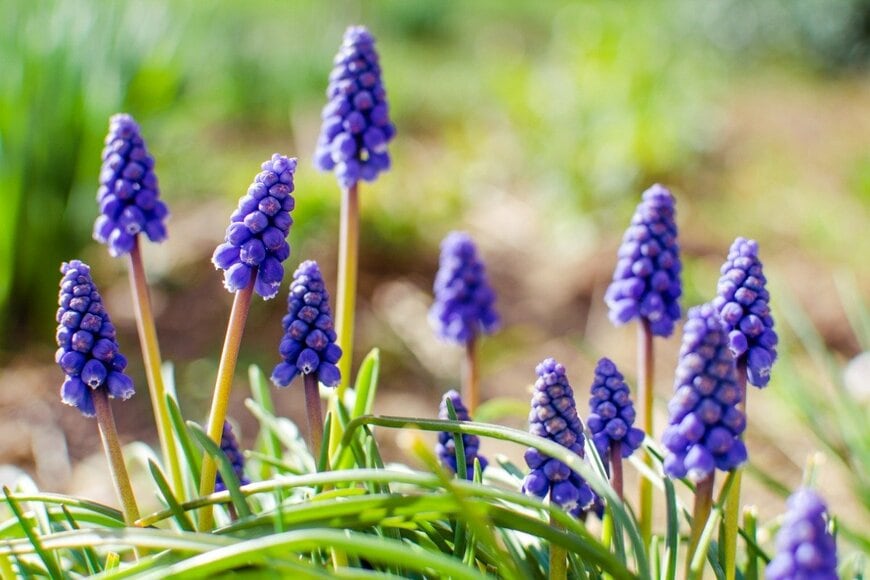 Galyna0404/istockphoto.com