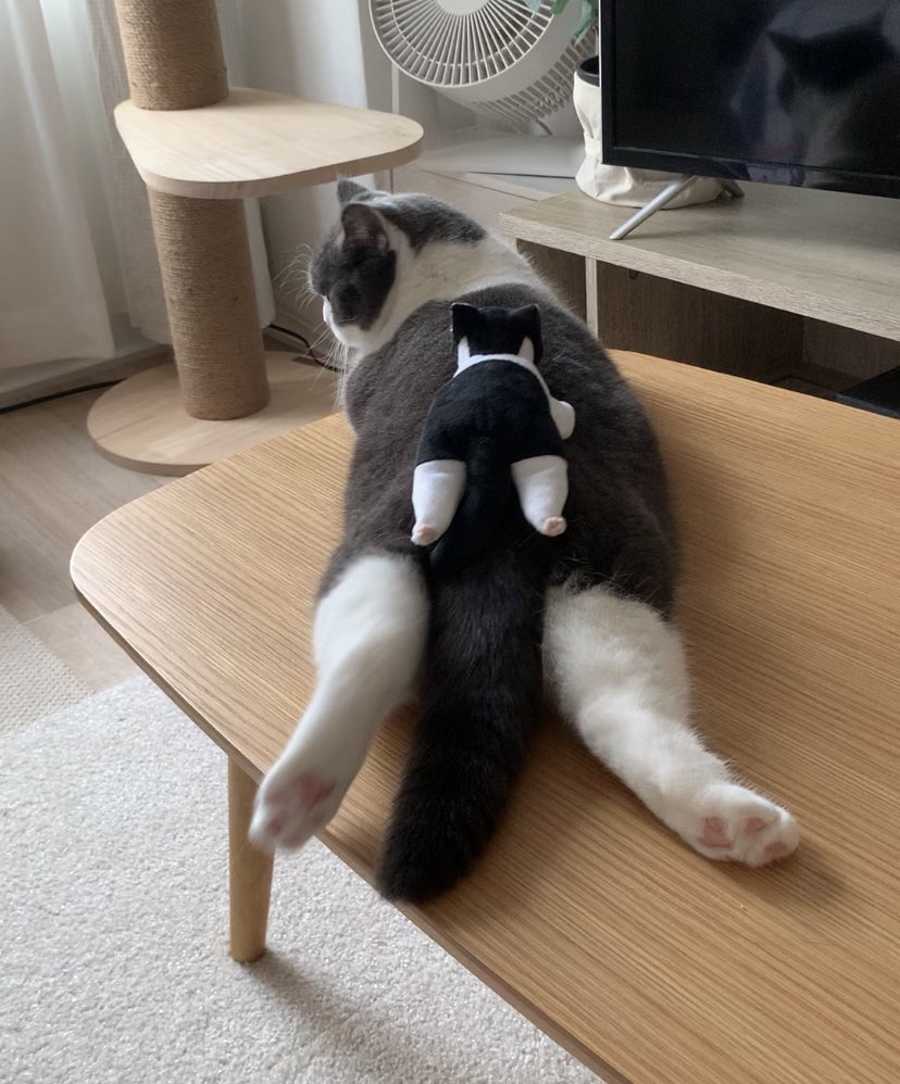 出所：@omochiomoching