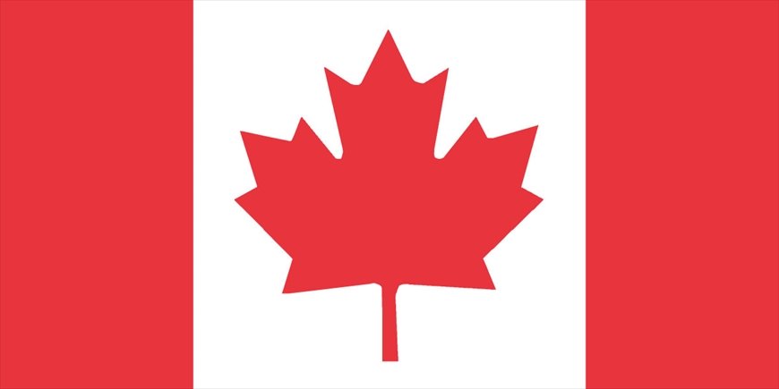 【正解の画像】縦横の比率がちがう（正式な縦横の比は1：2）