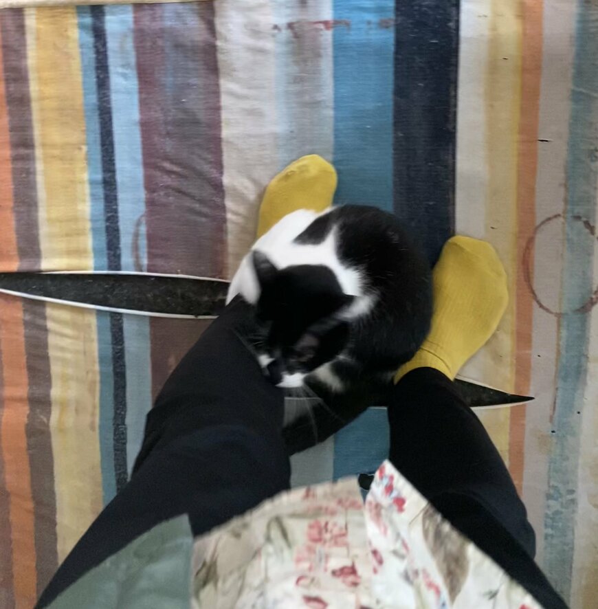 出所：@00shitemita