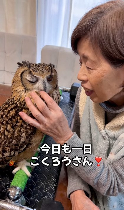 出所：@ba_chantolatte