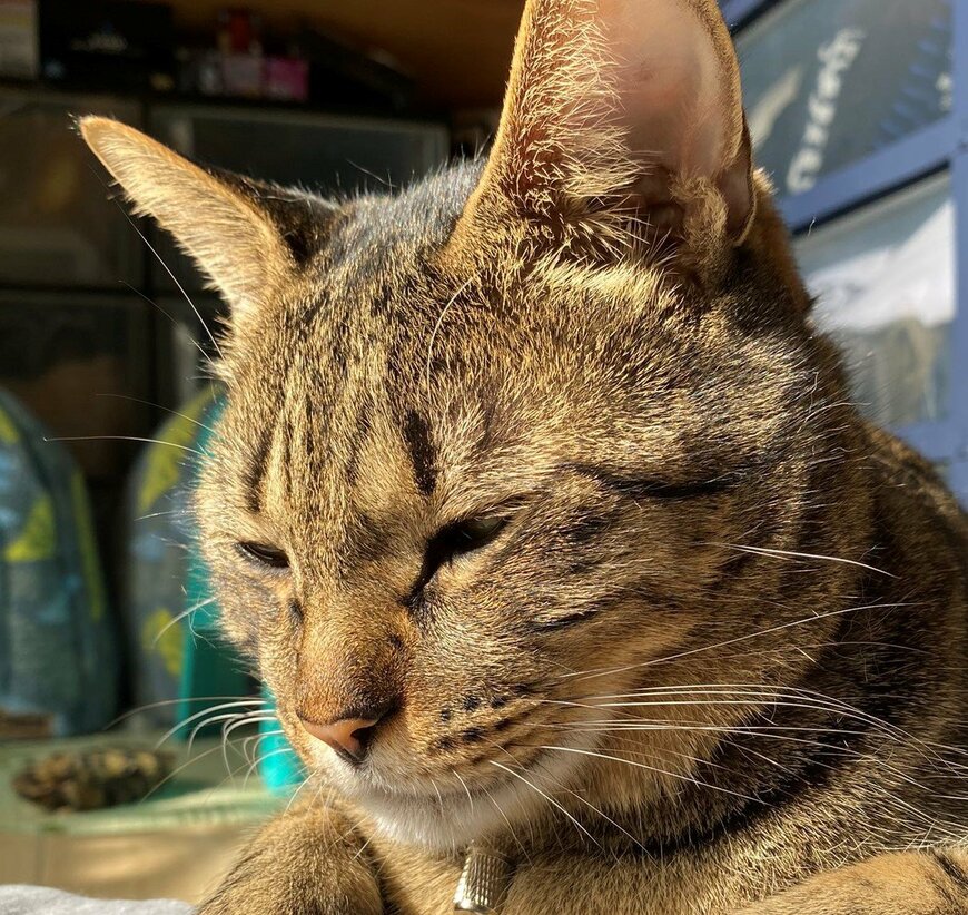 出所：@luna7taka9