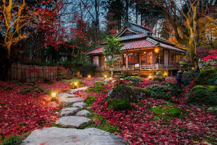 tvcuong8892/shutterstock.com