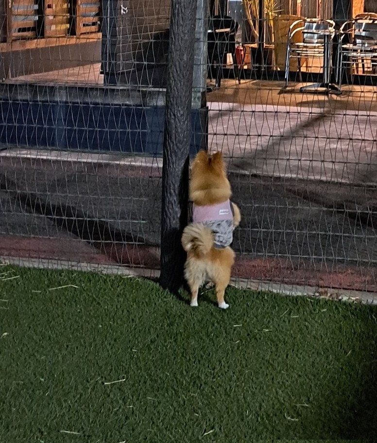 出所：@mokarin0804