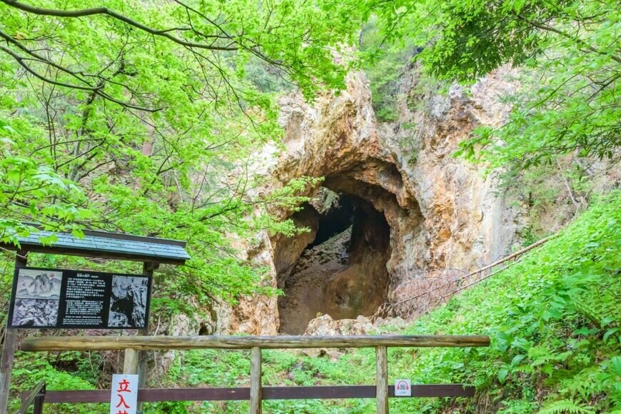 Takashi Images/shutterstock.com