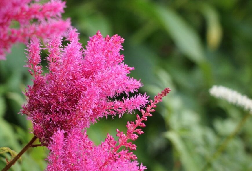 住民税非課税世帯向け【優遇措置5選】社会保険料の負担軽減、子育て支援など代表例を紹介。住民税非課税となる収入基準《年金・給与》ボーダーラインとは？