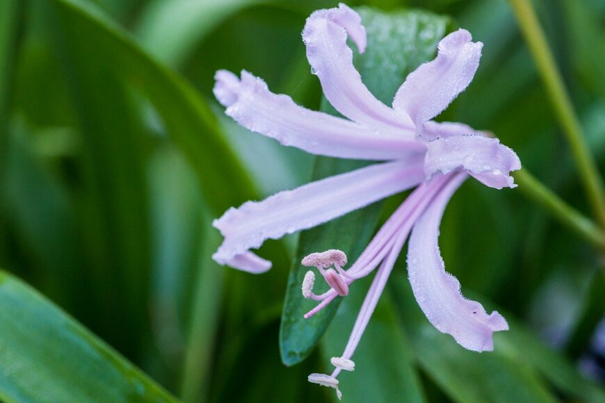 bigemrg/istockphoto.com