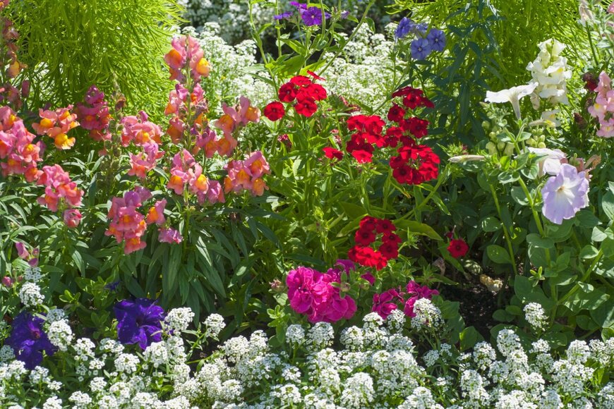 Jenny Rainbow/shutterstock.com