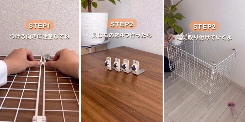 投稿の画像