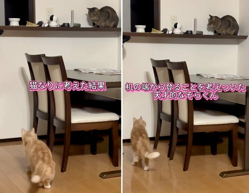 移動方法を考えついたそらくん