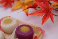 【厚生年金】ひとりで「年間300万円（月額25万円）」を受給する羨ましい人はどのくらいいる？