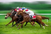どうなる日本競馬。JRAの売上高はピーク時の7割、今後の拡販ターゲットは？