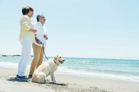 年金だけで生活できている？シニア世代の「貯蓄額・年金額・生活費」は平均いくらか