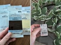 【100均DIY】ダイソーの樹脂粘土とリースで〈IKEAの造花〉をアレンジ！リアルさ倍増の仕上がりに「センス抜群」と反響