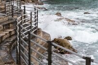 青森県の「海岸沿い」で発見したガードパイプ　思わず納得してしまう「珍しいデザイン」が話題