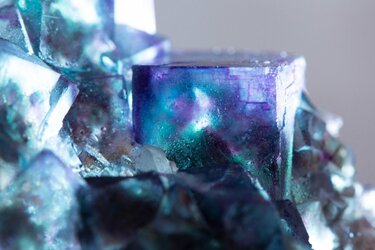 青紫に輝く幻想的なフローライト まるで花のような形に「心を奪われる