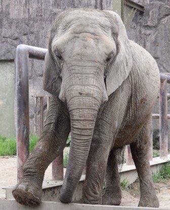 東武動物公園