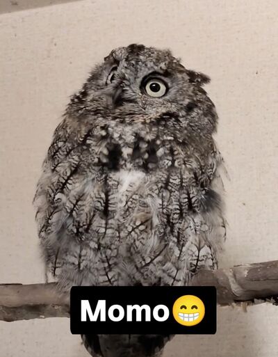 投稿動画のワンシーン