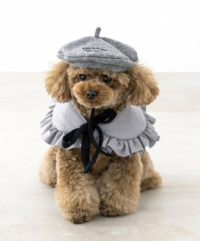 パルグループ公式ファッション通販サイト 3COINS ベレー帽商品画像