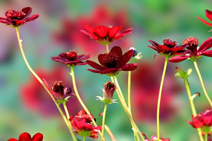 Makabas/shutterstock.com