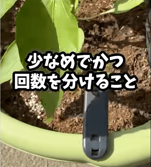 出所：@Kahmen-Gardening