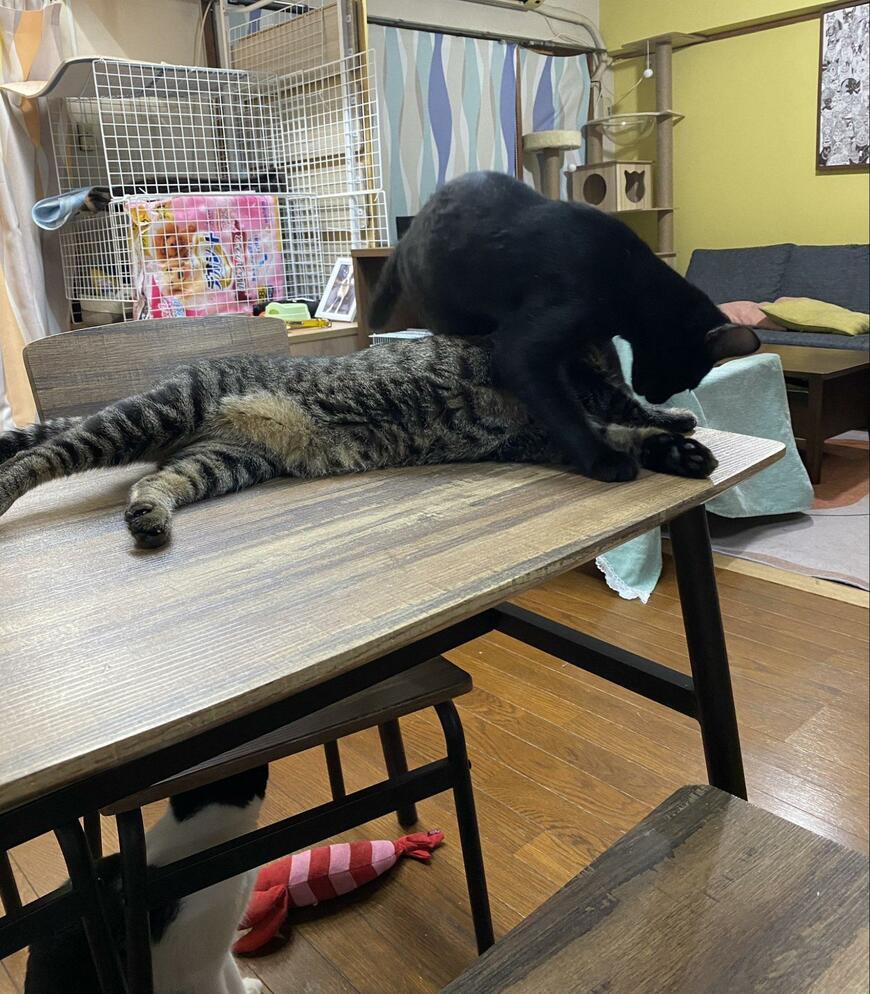 出所：@00shitemita