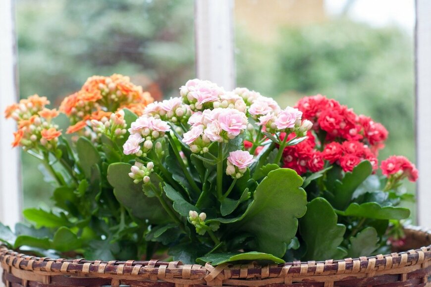 artursfoto/istockphoto.com