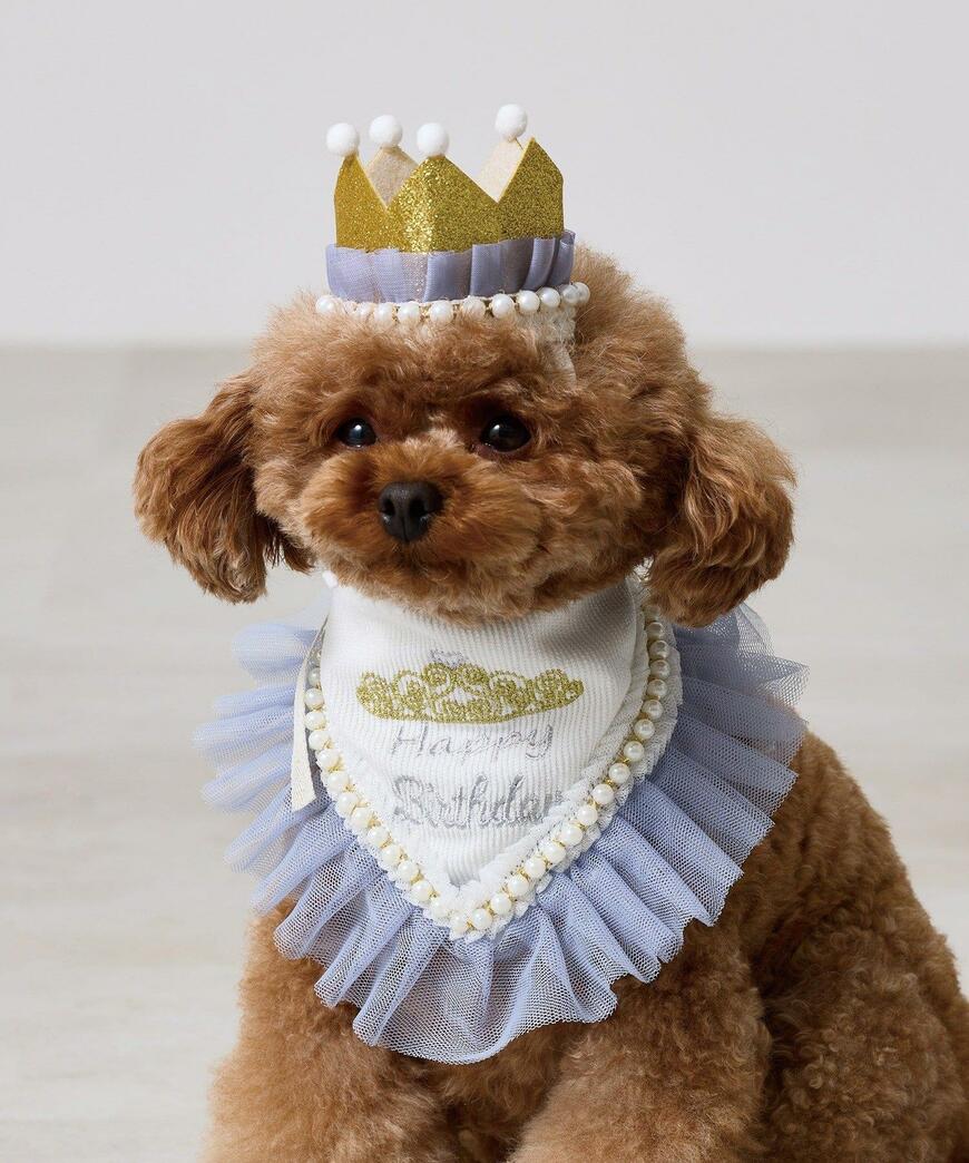 出所：パルグループ公式ファッション通販サイト 3COINS スタイ&王冠セット