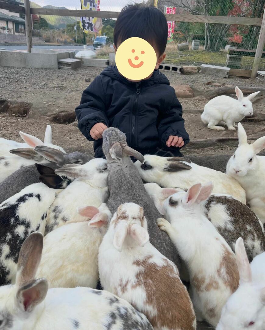 出所：＠baby_dream0606