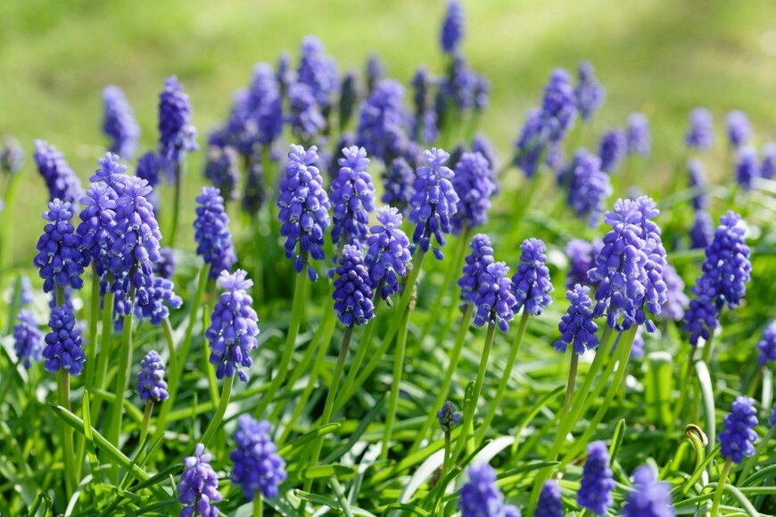 PaulMaguire/istockphoto.com