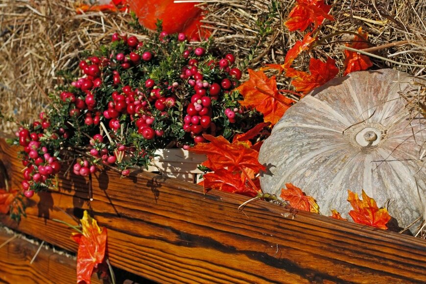 yulyao/istockphoto.com