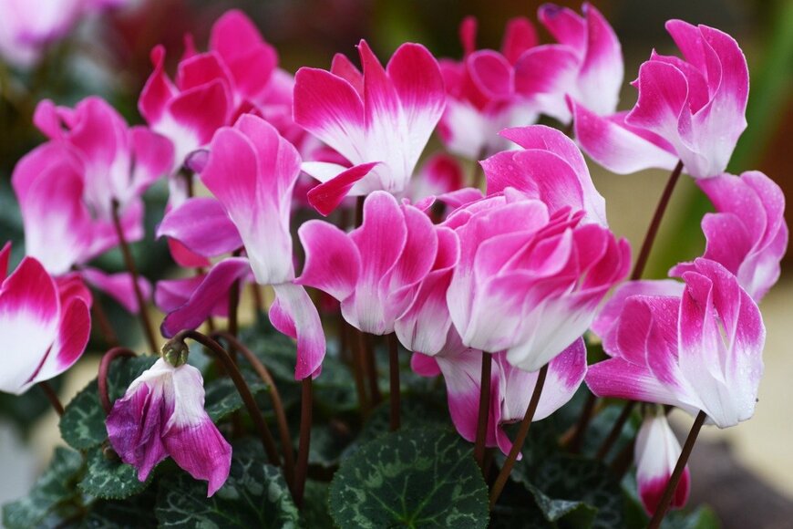 undefined undefined/istockphoto.com