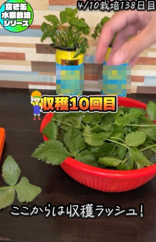 出所：@mikanbo_ya19_87