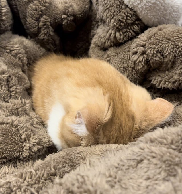 出所：@kotaro_0315