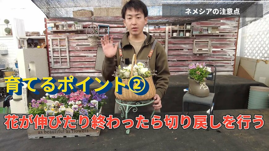 出所：@petit_fleur