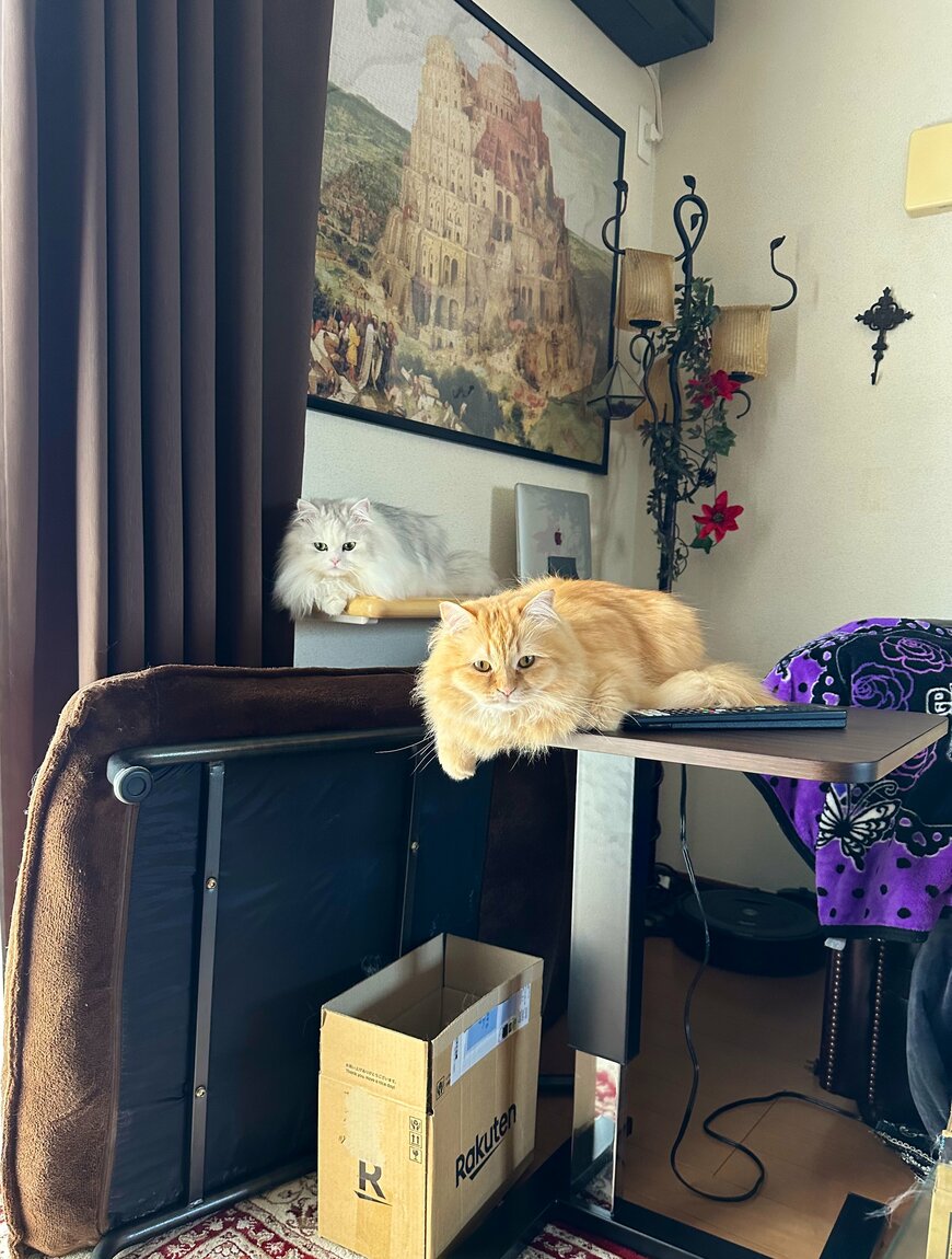 出所：@NEKOLAND13