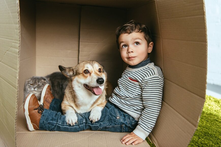 コロナ禍で急増「ペットを飼いたい人」が知っておくべき「お金」と「責任」のお話。