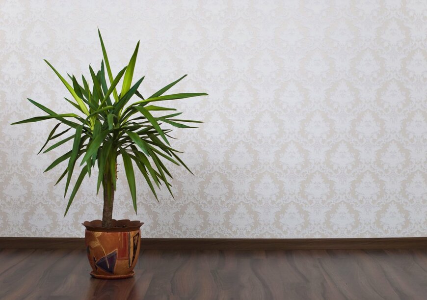                                                              Aprilphoto/shutterstock.com