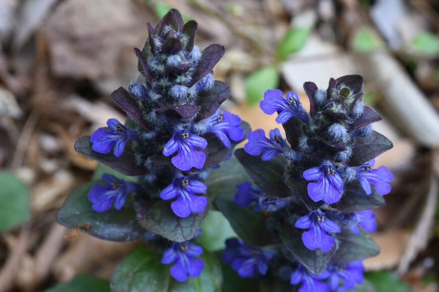 undefined undefined/istockphoto.com