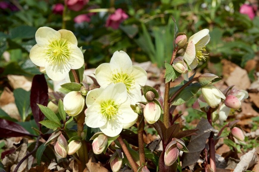 Billy_Fam/istockphoto.com