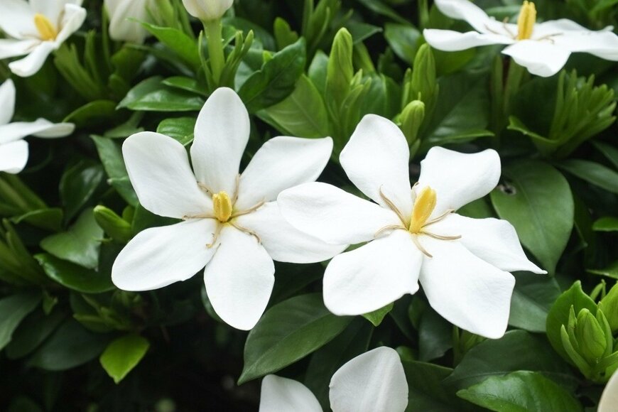 LFO62/istockphoto.com