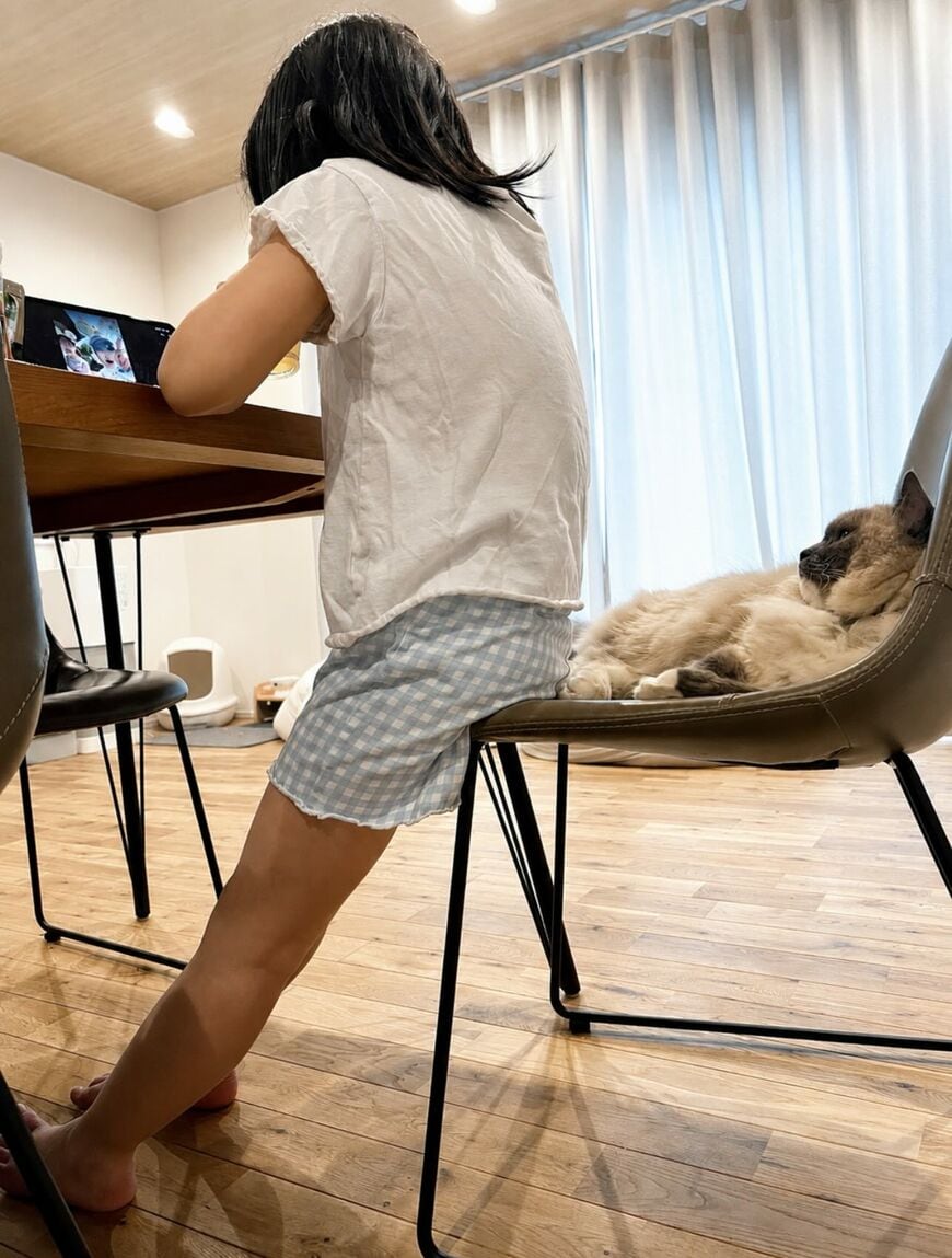 「娘の立場が弱いんじゃない」猫と娘の“関係性”がわかる光景に笑っちゃう
