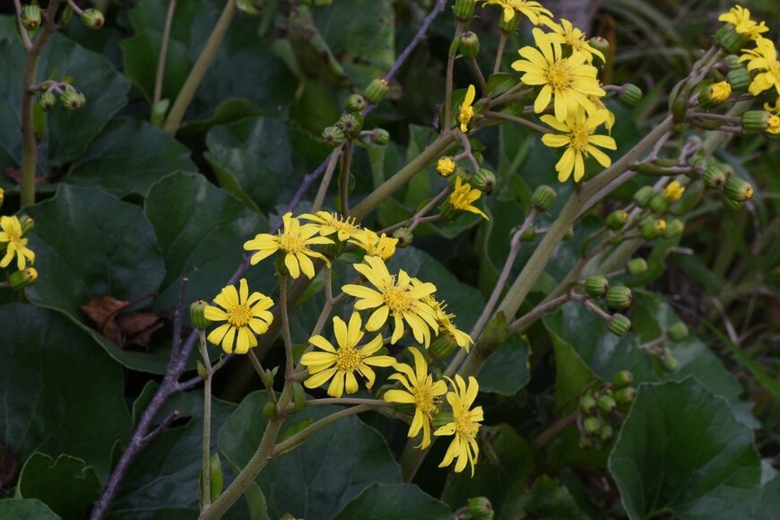 undefined undefined/istockphoto.com