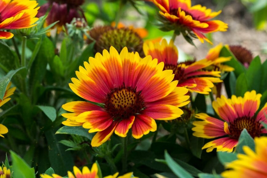 Jeannette Kaiser/shutterstock.com