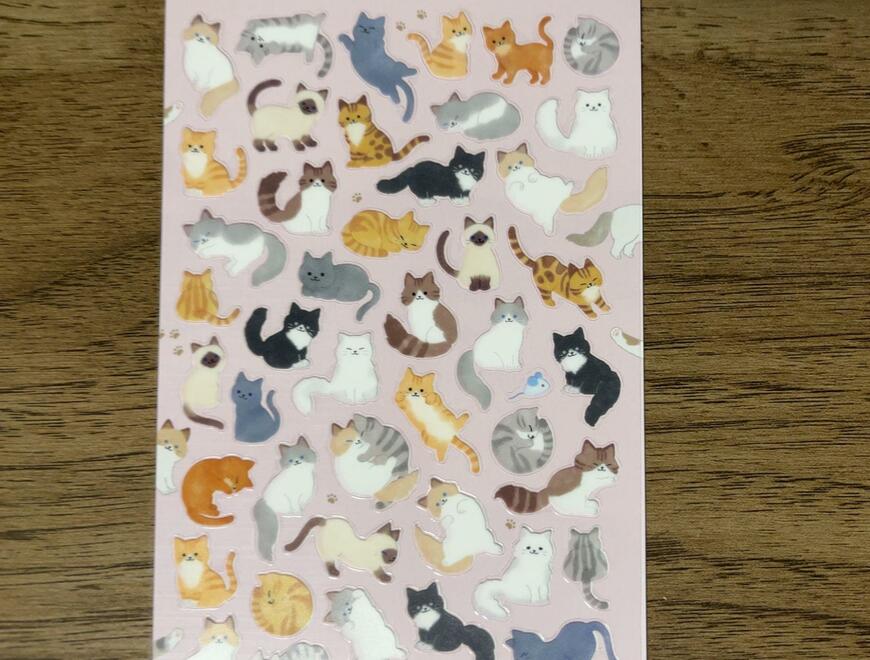 筆者撮影（セリア、デザインシール 猫いっぱい）